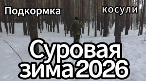 Суровая зима 2026