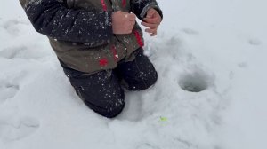 Очередная поклевка