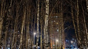 ИМПРОВИЗАЦИЯ 1 НА БАЛАЛАЙКЕ. #музыка #рутуб #продвижение #топкатегории