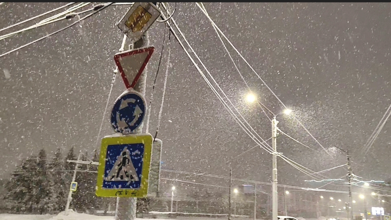 Снегопад в Рязани (улица Фирсова)