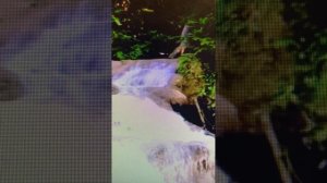 Релаксация .Аутотренинг доступный для всех