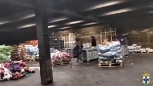 Нелегальная занятость на овощебазе: силовики выдворяют 14 иностранцев из РФ