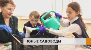 Учиться ответственности и командной работе