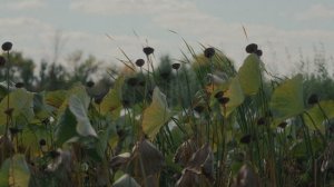 Астрахань 27.09.25