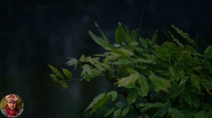 Ночь опустилась над речкой/ подредактировал и чуть дописал