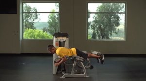 Сгибание ног лежа HOIST RS-1408