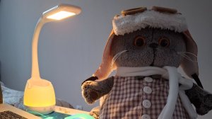 КОТ БАСИК. Сэр Шурх и его первое видео в блоге.