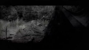 МЛАДЕНЦЫ ВИСЯТ НА ВЕТКАХ... Страшные истории на ночь 🫣🫣🫣