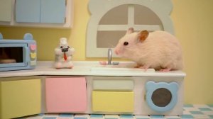Крошечный хомячок на своей крошечной кухне II