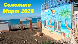 Солоники в марте 2026.