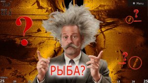 Как работает Боковое сканирование