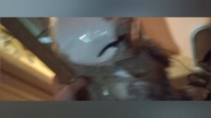 БАЛДИ В МОЁМ КВАРТИРЕ В РЕАЛЬНОЙ ЖИЗНИ! Baldi's basics the musician in real life!