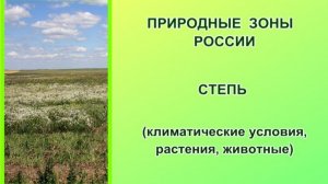 Природные зоны России. Степь (климат, растения, животные)
