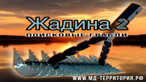 Обзор, поисковые грабли ЖАДИНА 2