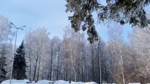 Хрустальное серебро  инея.