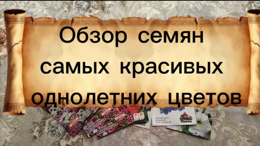 Обзор семян самых красивых и популярных однолетних цветов