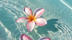 🍾Весёлая песня для молодёжи# романи элита