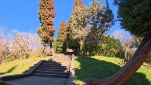 Сочи - дендрарий февраль 2026