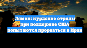 Лямин: курдские отряды при поддержке США попытаются прорваться в Иран
