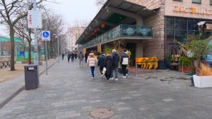 Путешествие по Будапешту 2026: Набережная Дуная, Цепной мост и сказочный Рыбацкий бастион 🏛️🌊