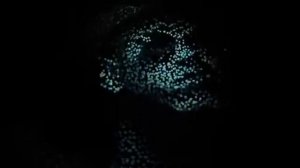 2 Я МИРОВАЯ ВОЙНА НЕ ЗАКАНЧИВАЛАСЬ .