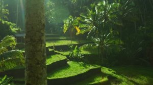 4K Bali 2025 🇮🇩 Tropical Paradise, Lush Landscapes & Ocean Views Aerial Journey With Deep House