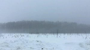 В туманной перспективе