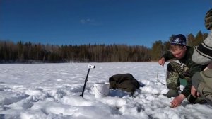 ТИГРОВАЯ ЩУКА. Подводная съёмка