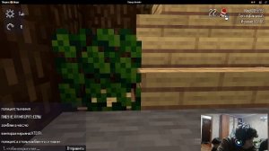 стрим в честь др