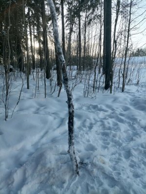 Подрубил стрим.