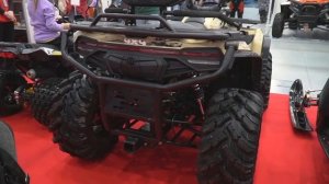 Новинка: квадроцикл с полным приводом Ирбис ATV300