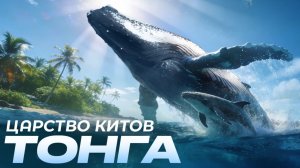 КИТЫ Королевства Тонга | ЖИЗНЬ на необитаемом ОСТРОВЕ в царстве КИТОВ!