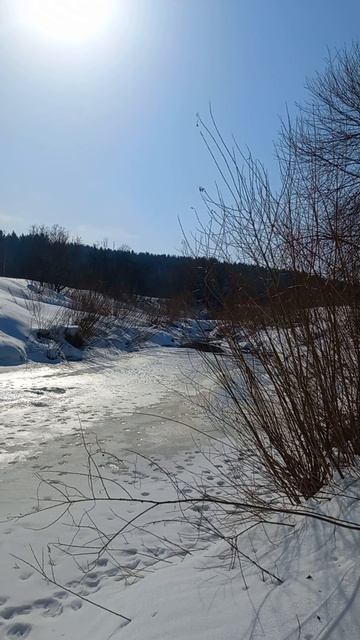 Речка Катынка в первый день весны, рыбы нет