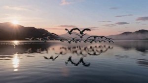 Seedance на ТурбоТекст - генератор видео