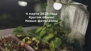 4 марта 2026 года Кругом обман! Новые фитолампы с Валдберис. #опятьобман, #фитолампы
