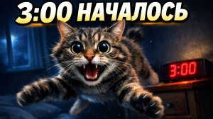 Смех до слёз: лучшие приколы №244