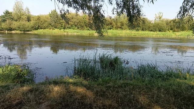 Ровенская область, п.г.т. Степань.5849.mp4