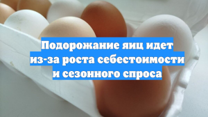 Подорожание яиц идет из-за роста себестоимости и сезонного спроса