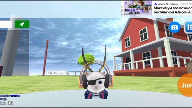 любимое дело