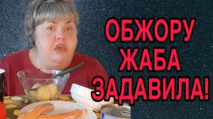 ЖРУЛЮ ЖАБА ЗАДАВИЛА. ЮЛЯ СТАР. ОБЗОР.