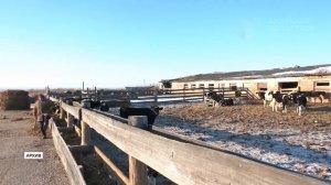 Новости короткой строкой от 03.03.2026г