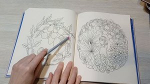 Полистаем раскраску Падающая звезда Мари Тролле