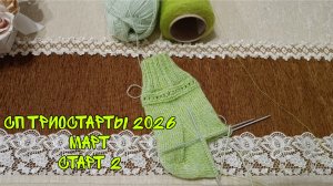 СП ТРИОСТАРТЫ 2026|МАРТ|СТАРТ 2|УЧАСТНИК 16|ЖЕНСКИЕ НОСКИ С ПОДМОТОМ СПИЦАМИ