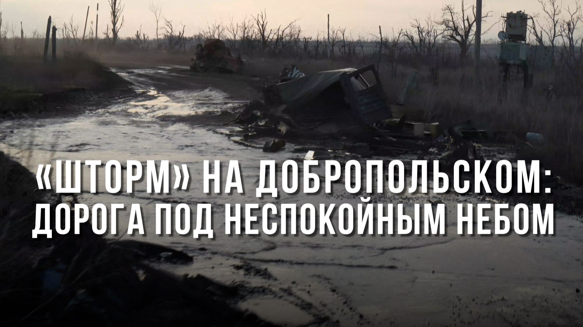Спецрепортаж WG ««Шторм» на Добропольском: дорога под неспокойным небом»