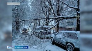 Последствия зимних нападков ликвидируют в Кисловодске