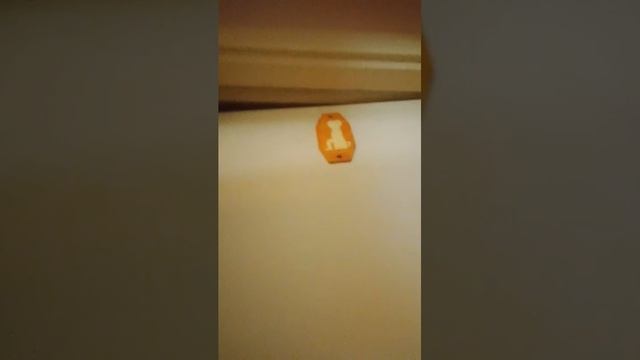 я никаких названий не придумала