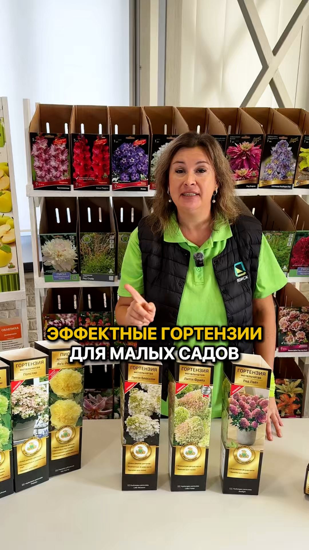 Эффектные сорта гортензии для маленьких садов!