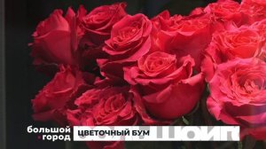 ЦВЕТОЧНЫЙ БУМ. Большой город 04/03/2026