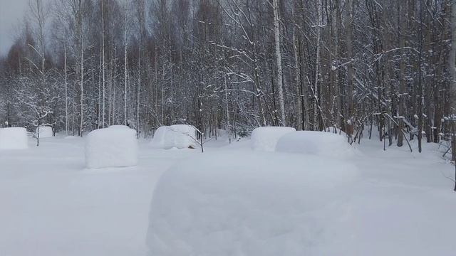4 марта. На пасеке естественного пчеловодства.