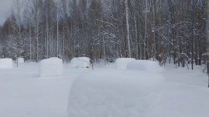 4 марта. На пасеке естественного пчеловодства.